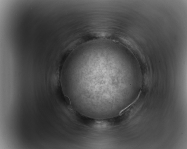 X0000088830376200706141525