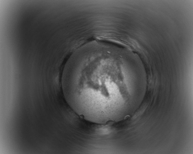 X0000088830377200706141525