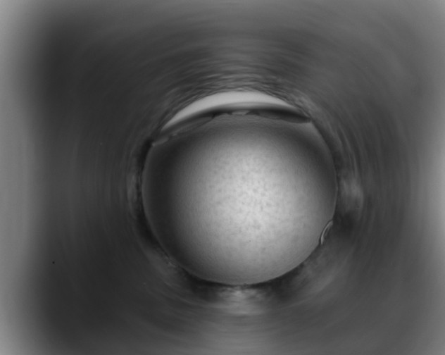 X0000088830379200706141525