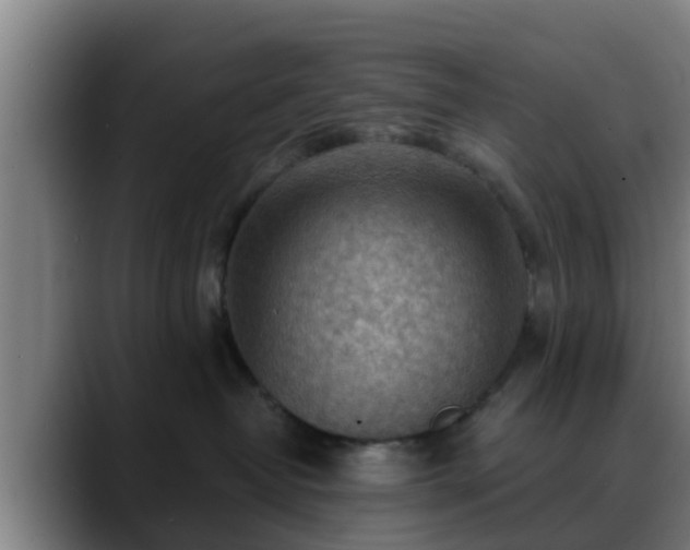 X0000088830382200706141525