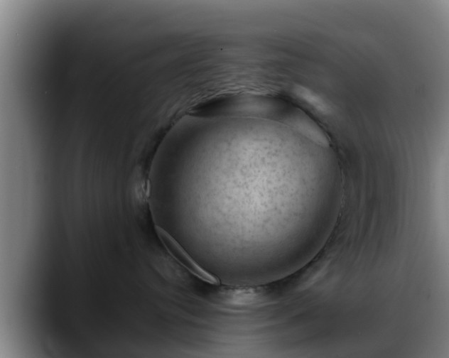 X0000088830384200706141525