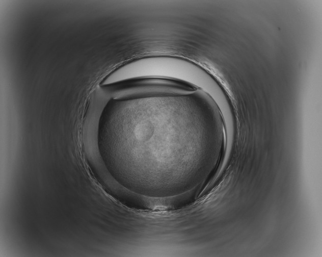 X0000088830385200706141524