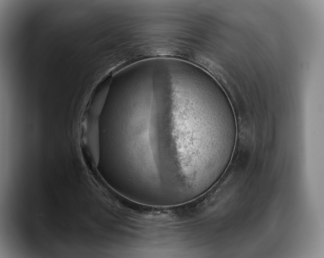 X0000088830386200706141524