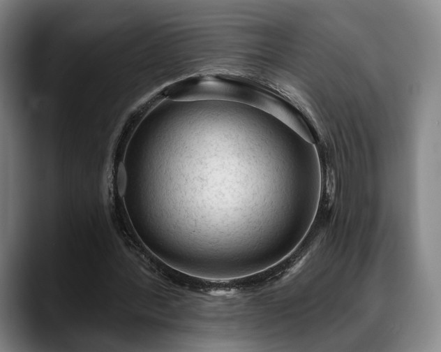 X0000088830388200706141524