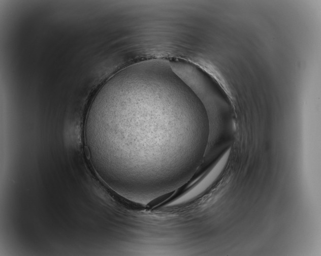 X0000088830393200706141524