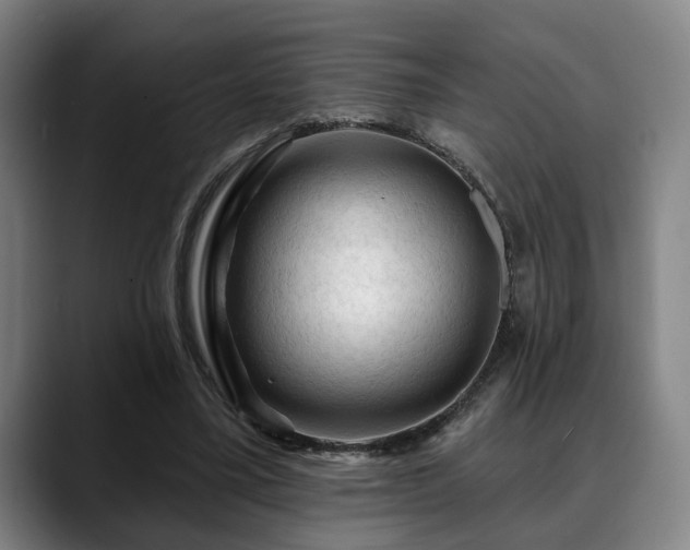 X0000088830395200706141524