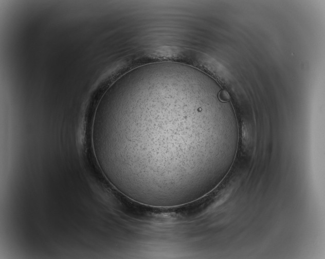 X0000088830396200706141524
