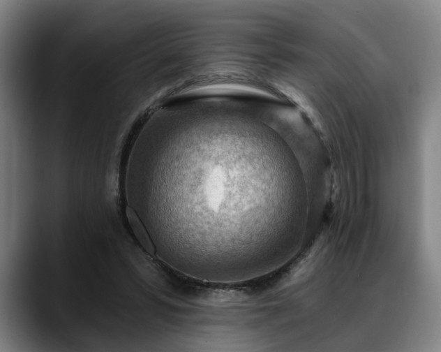 X0000088830399200706141524