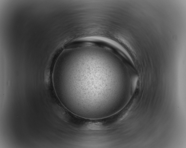 X0000088830403200706141524