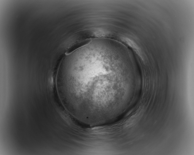X0000088830405200706141524
