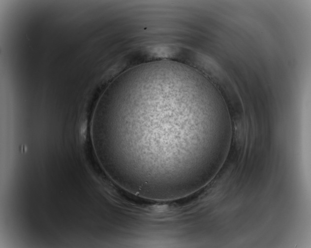 X0000088830406200706141524
