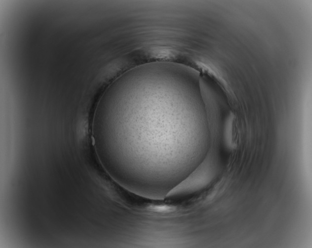 X0000088830407200706141524