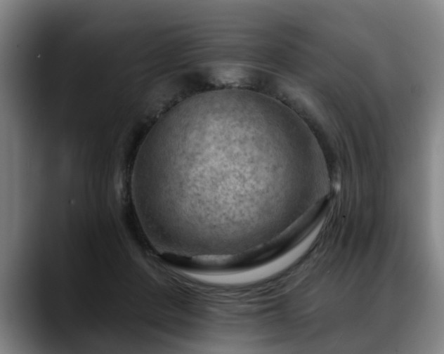 X0000088830408200706141524