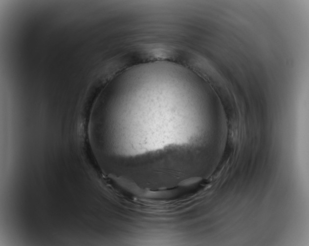 X0000088830410200706141524