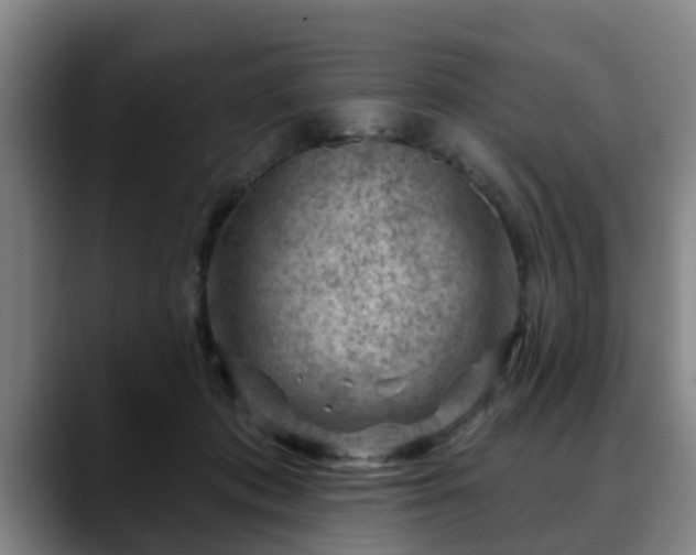 X0000088830413200706141524