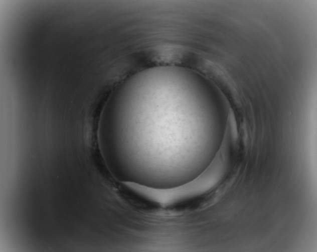 X0000088830416200706141524