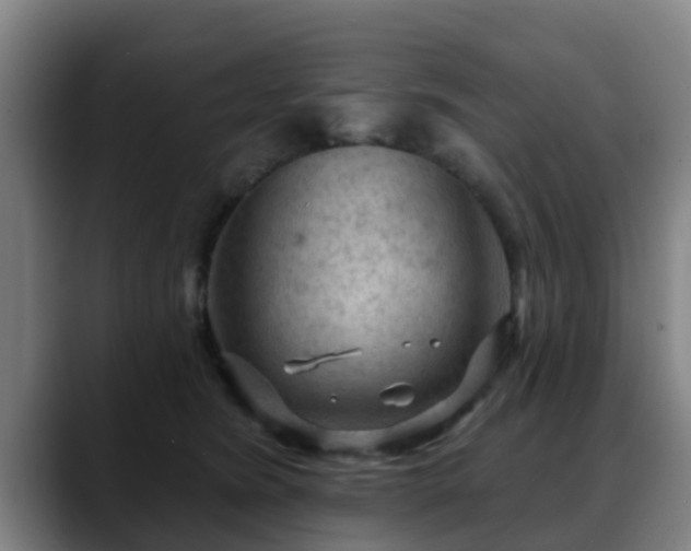 X0000088830420200706141524