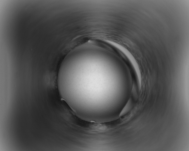 X0000088830421200706141524
