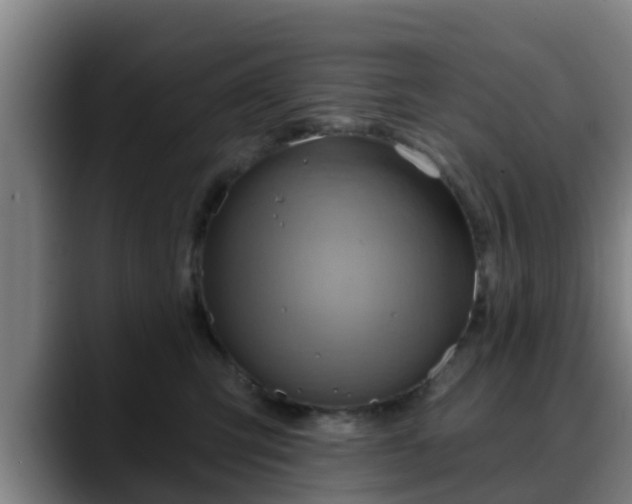 X0000088830423200706141524