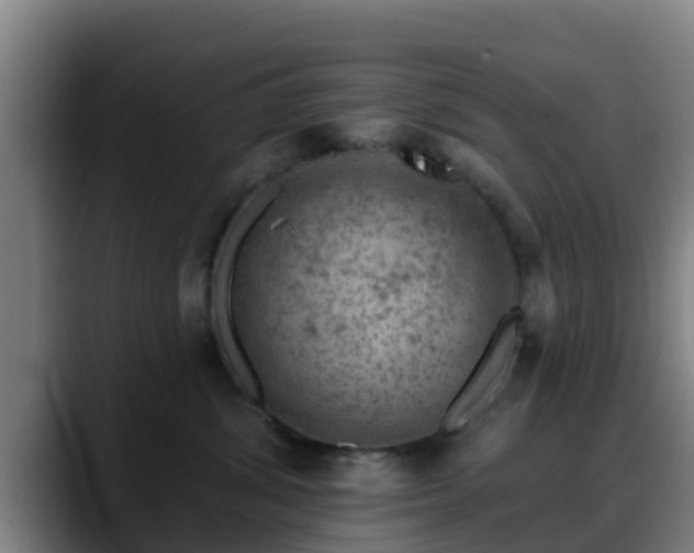X0000088830428200706141524