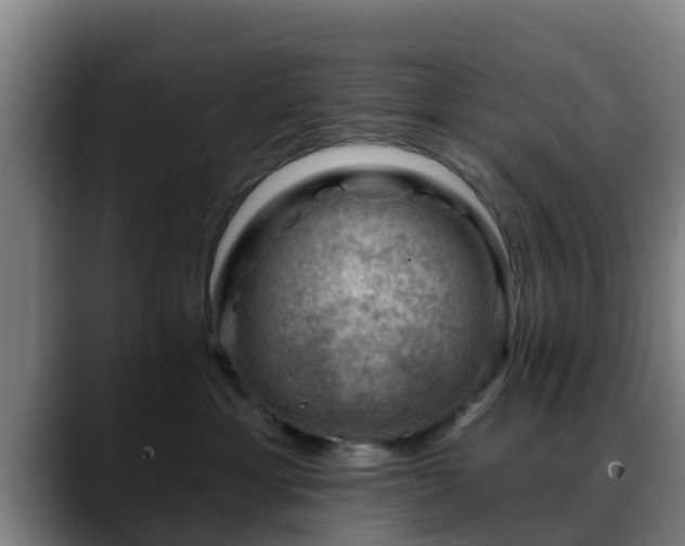 X0000088830429200706141524