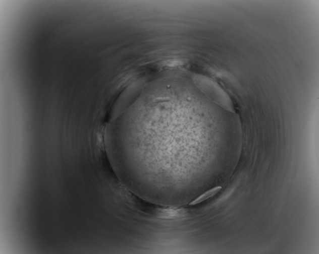 X0000088830432200706141524