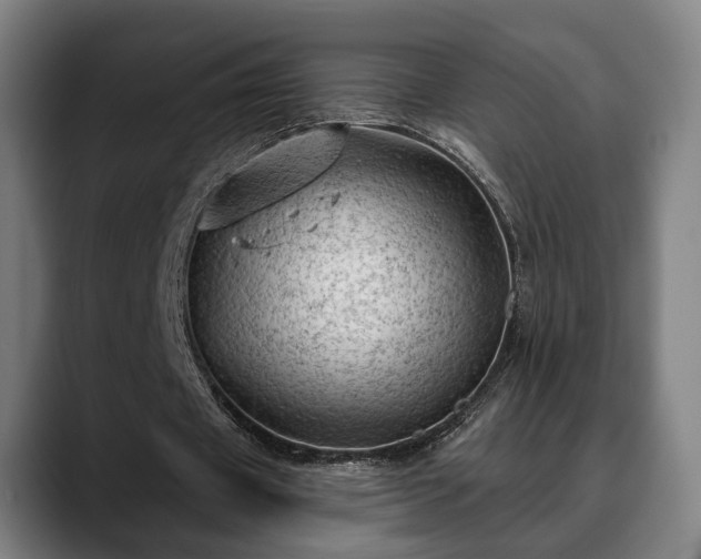 X0000088830433200706141523