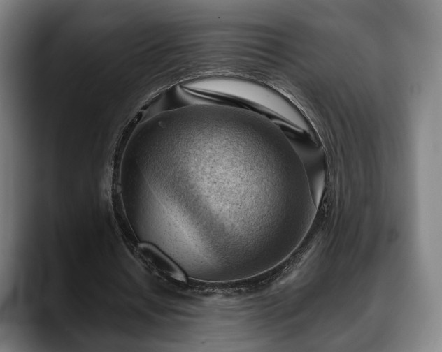X0000088830434200706141523