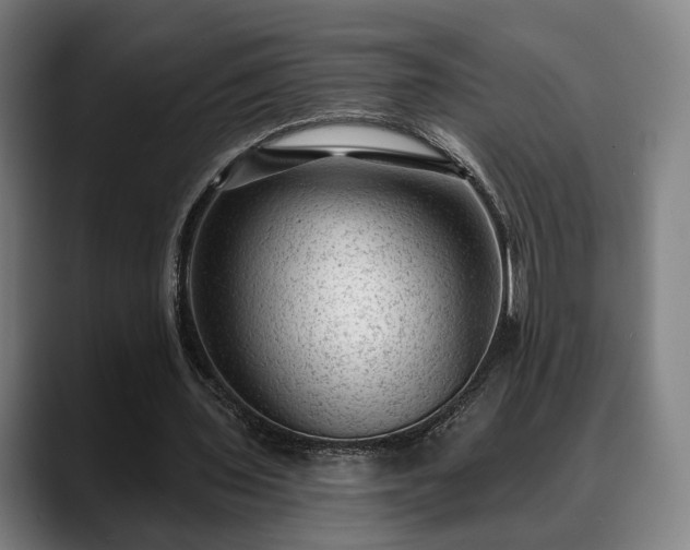 X0000088830435200706141523