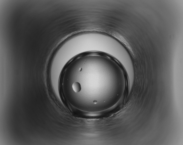 X0000088830436200706141523