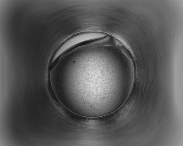 X0000088830437200706141523