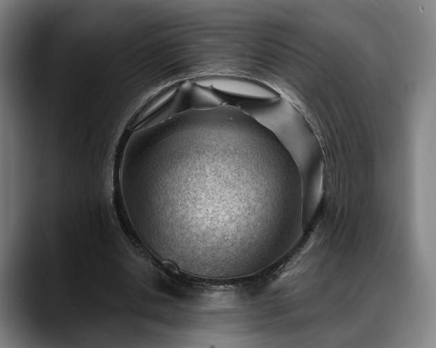 X0000088830438200706141523