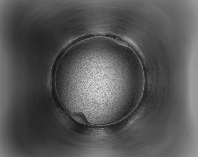 X0000088830439200706141523