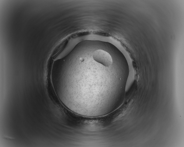 X0000088830440200706141523