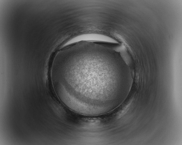 X0000088830443200706141523