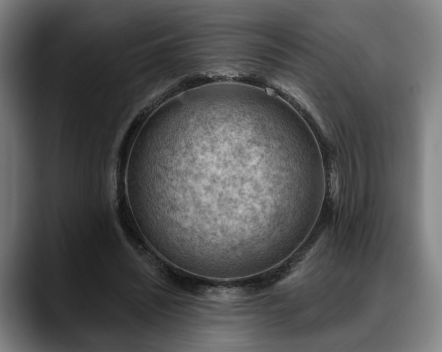 X0000088830444200706141523