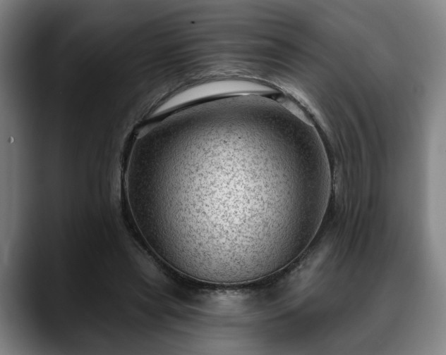 X0000088830445200706141523