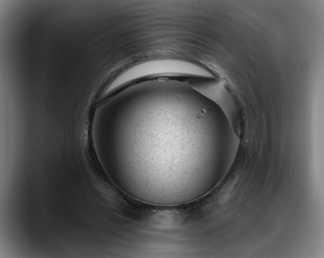 X0000088830446200706141523