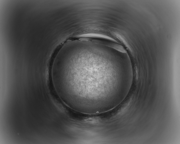 X0000088830447200706141523