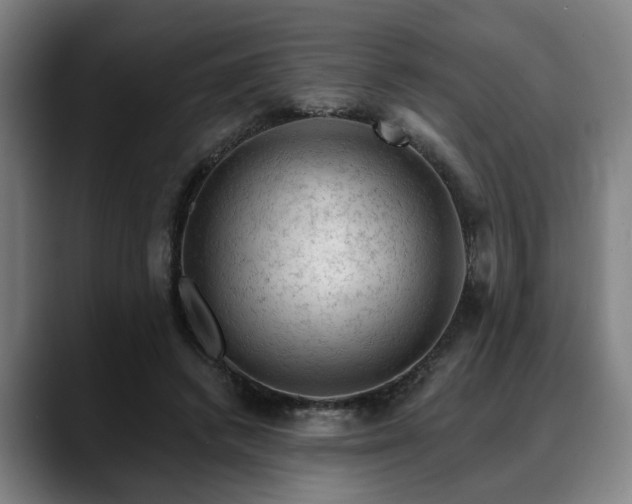 X0000088830448200706141523