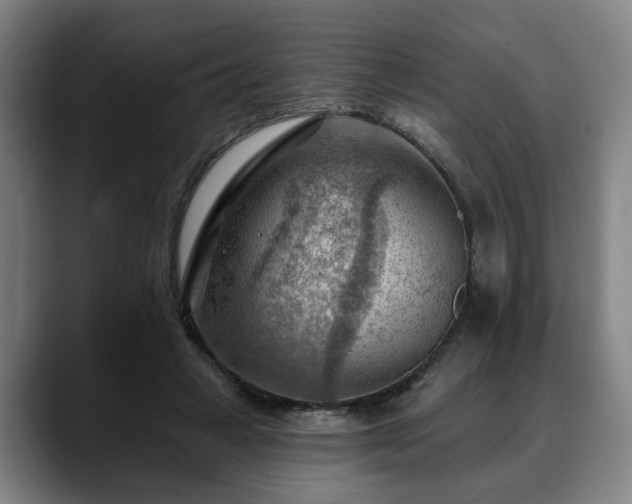 X0000088830449200706141523