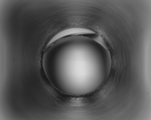 X0000088830450200706141523