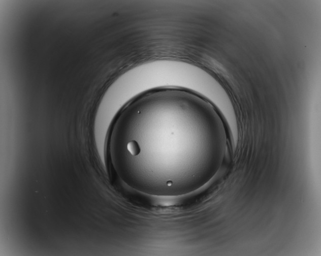 X0000088830452200706141523