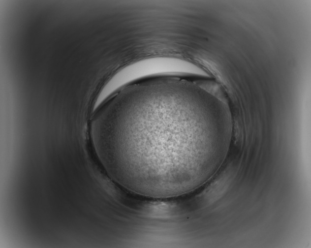 X0000088830453200706141523