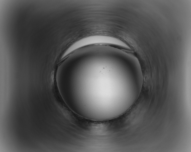 X0000088830454200706141523