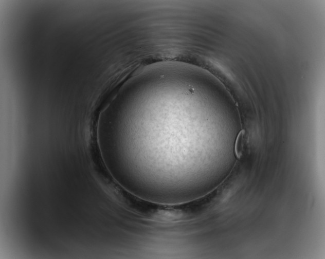 X0000088830455200706141523