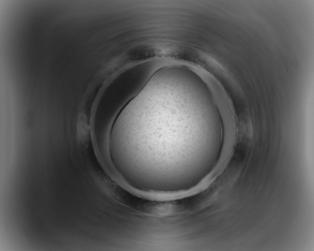 X0000088830456200706141523