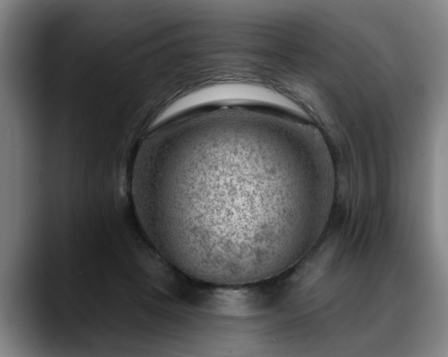 X0000088830457200706141523