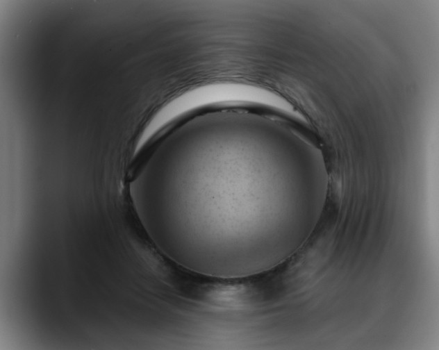 X0000088830458200706141523