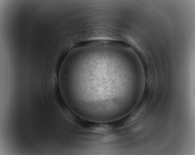 X0000088830459200706141523